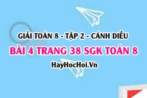 Bài 4 trang 38 Toán 8 Tập 2 Cánh Diều